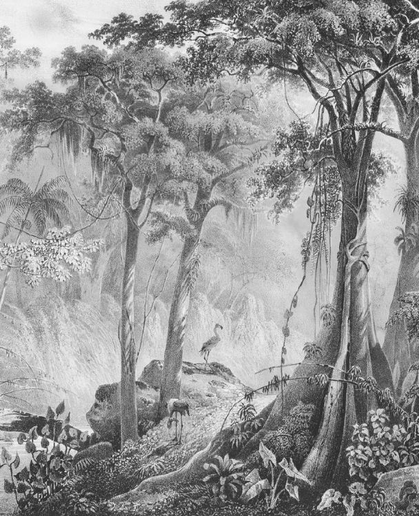 Parisian Tales By MDS - Image 15