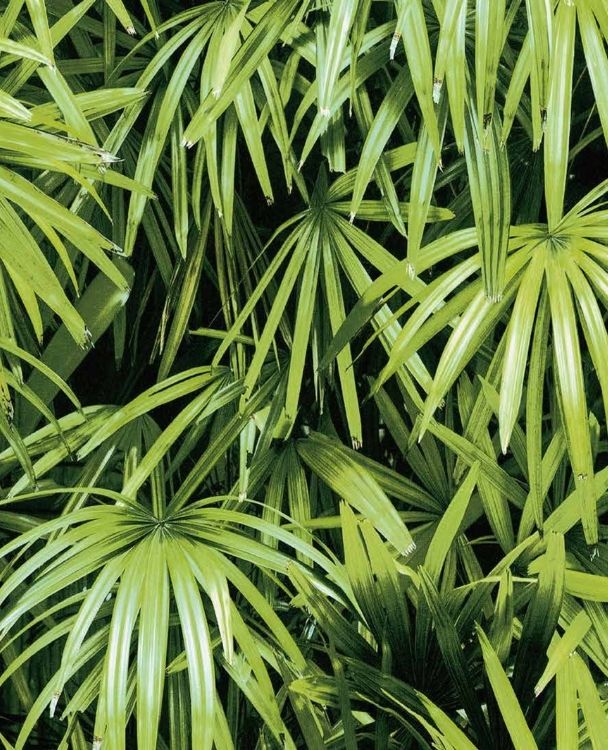 Nature PVC - Image 3