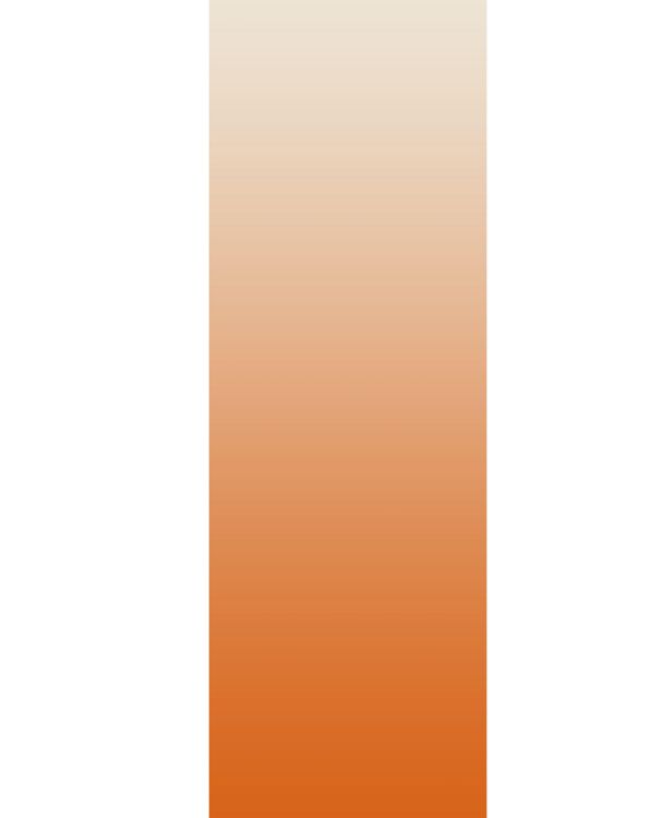 Ombre By Marshalls - Image 21