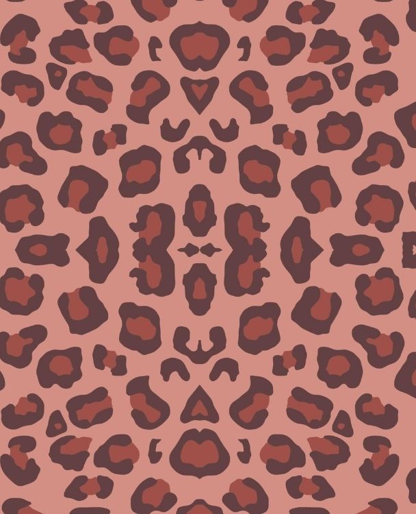 Autograph Collections - Image 24