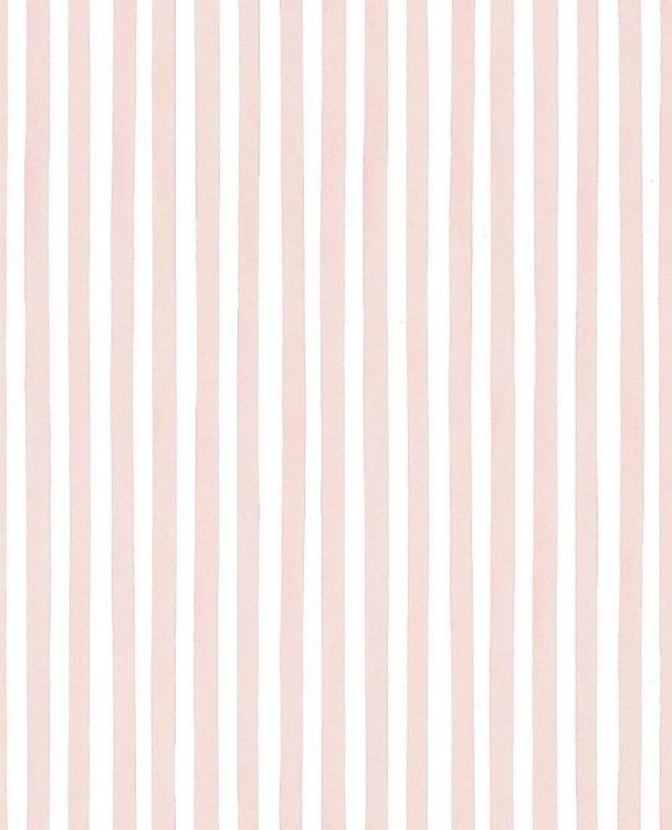 Polo By MDS - Image 26