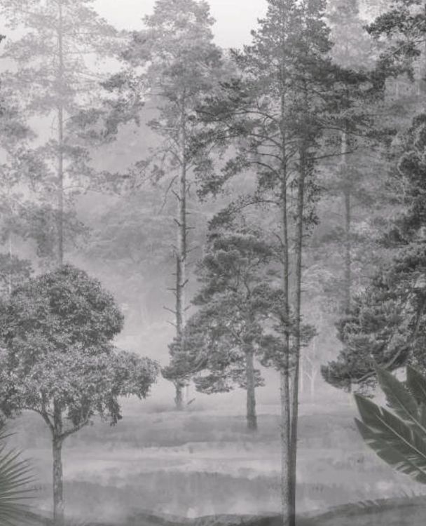 Landscape By MDS - Image 36