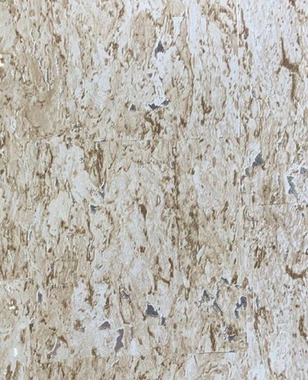 Spring Walls - Image 6