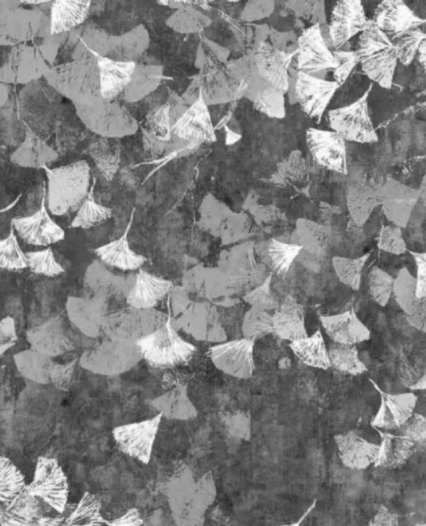 Florina By MDS - Image 52