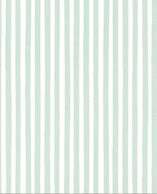 Polo By MDS - Image 56