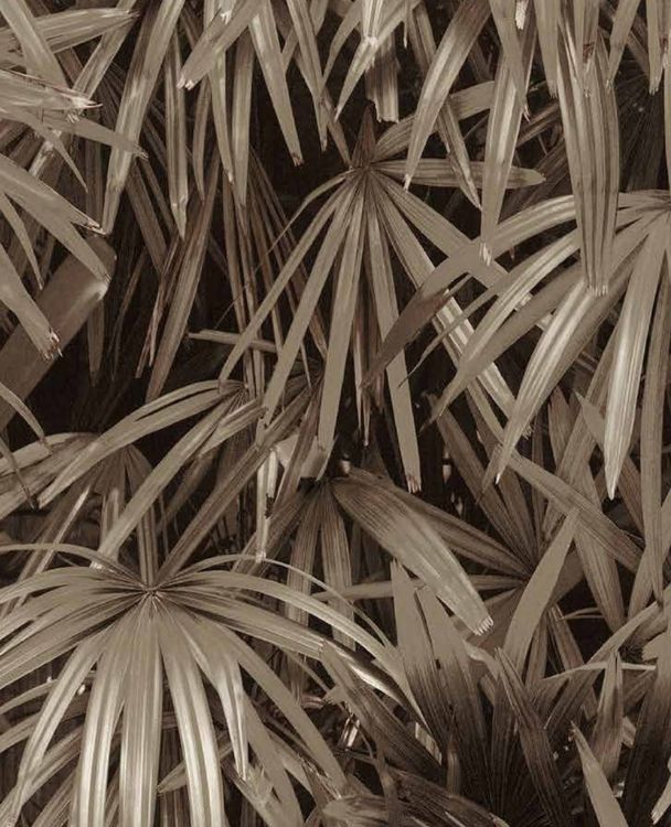 Nature PVC - Image 61