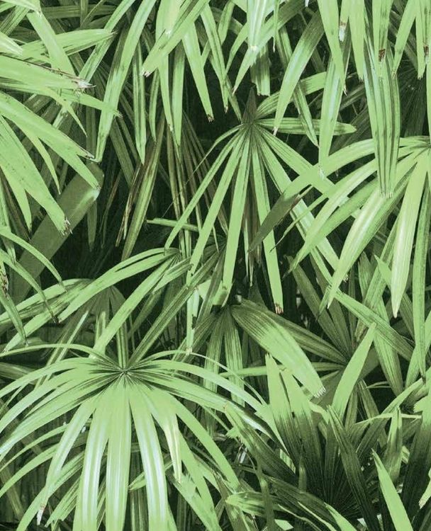 Nature PVC - Image 62