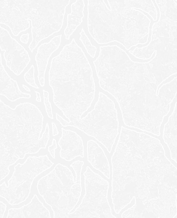 Home Decor Choice - Image 70